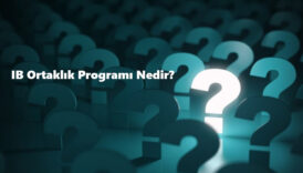 IB ortaklık programı nedir