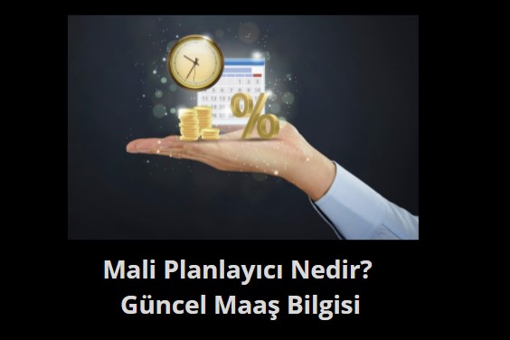 mali planlayıcı nedir maaşları ne kadar