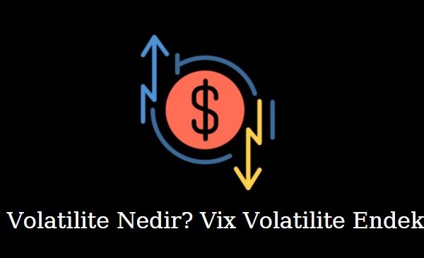 volatilite nedir