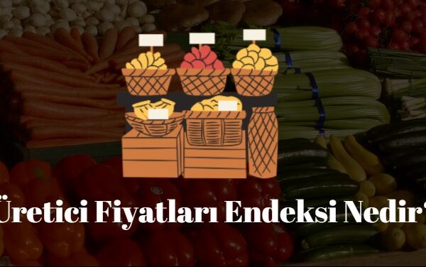 üretici fiyatları endeksi nedir