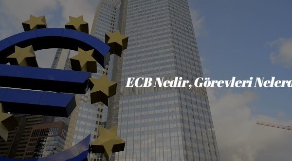 ecb nedir görvleri nelerdir