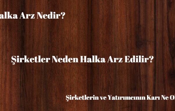 halka arz nedir nasıl yapılır