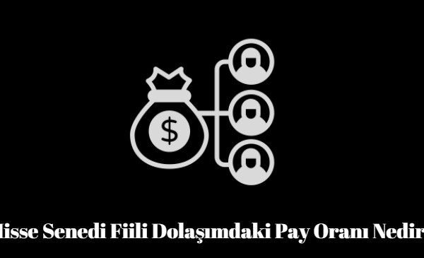 hisse senedi fiili dolaşımdaki pay oranı nedir