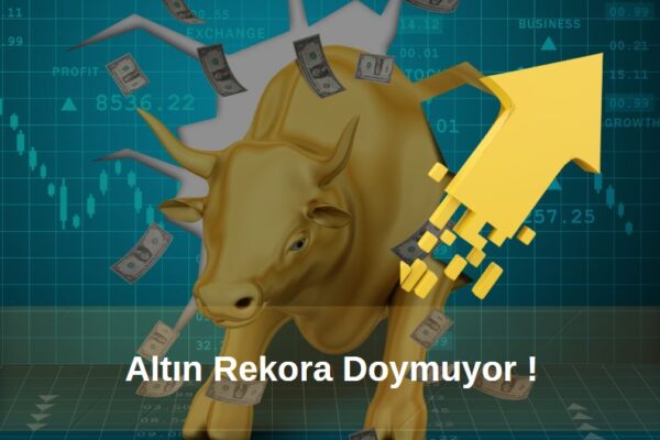 altın fiyatları rekor kırdı